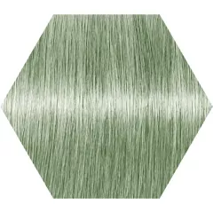 سری زیتونی