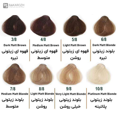 رنگ مو بدون آمونیاک سلوم (Selom Plus) سری زیتونی