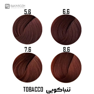 رنگ موی گانسا (GANECA) سری تنباکویی