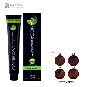 رنگ موی گانسا (GANECA) سری تنباکویی
