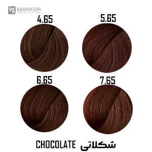 رنگ موی گانسا (GANECA) سری شکلاتی