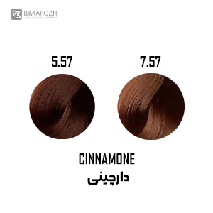 رنگ موی گانسا (GANECA) سری دارچینی