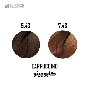 رنگ موی گانسا (GANECA) سری کاپوچینو