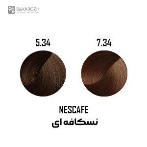 رنگ موی گانسا (GANECA) سری نسکافه ای