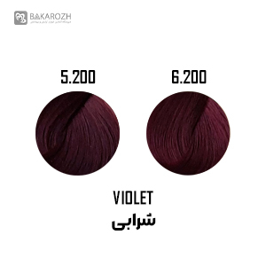 رنگ موی گانسا (GANECA) سری شرابی