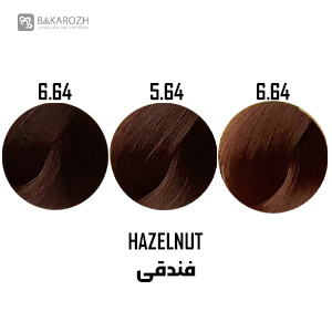 رنگ مو گانسا (GANECA)  سری فندقی