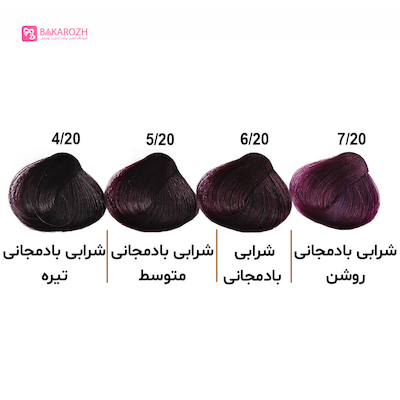 رنگ موی الوکسین (ELOXIN) سری شرابی