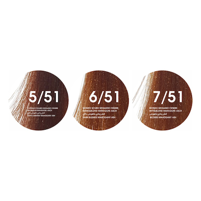 رنگ مو ایرانی ویتاال سری ماهاگونی خاکستری