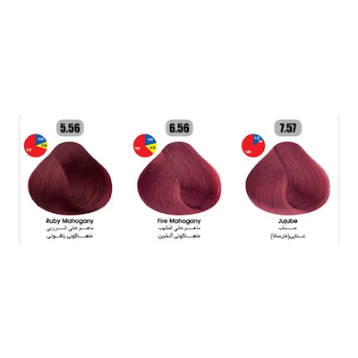 رنگ مو تونی سری ماهگونی