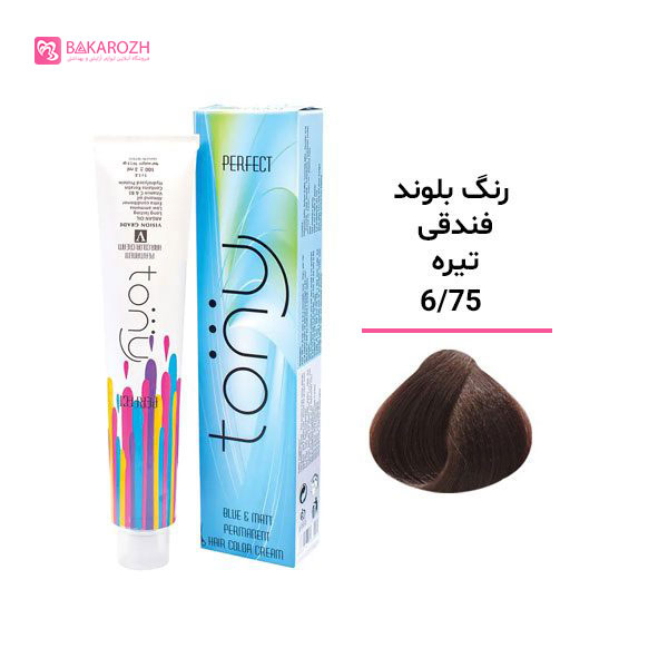رنگ مو تونی سری فندقی